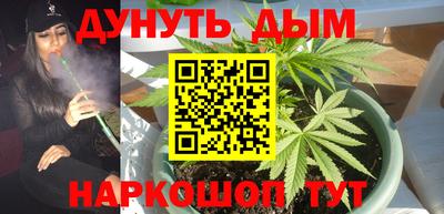 стаф Нарткала